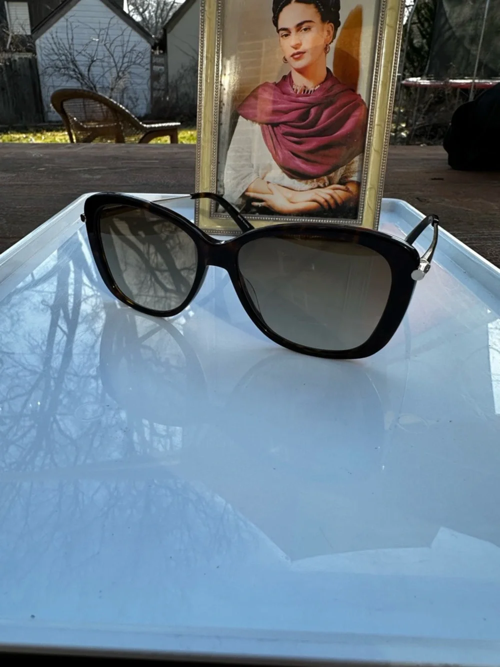Longchamp Sunglasses LO610S Tortoiseshell Gradient w/ Case NWT